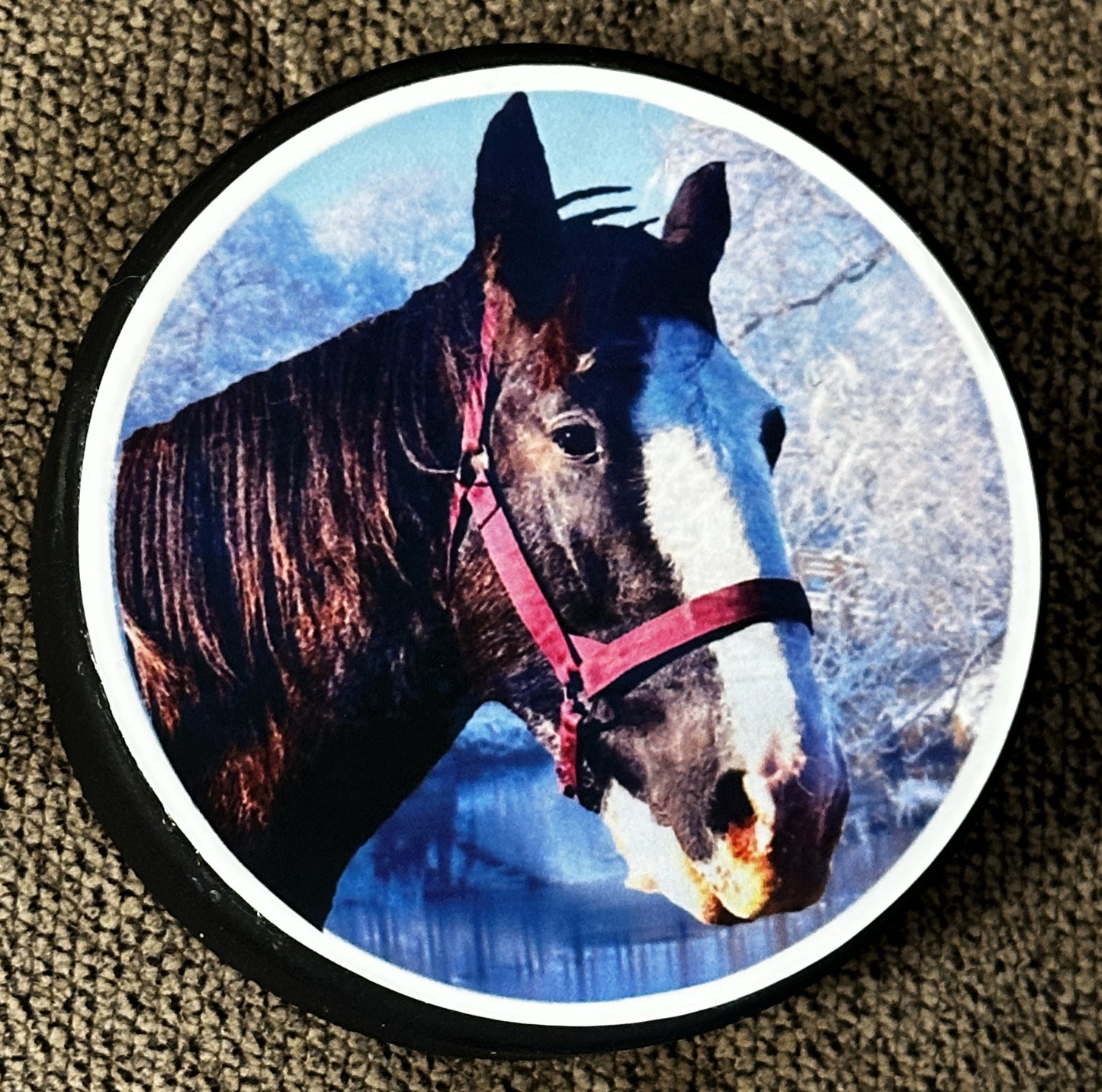 Custom Hockey Puck Paperweights